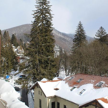 Central Park View Sinaia Dış mekan fotoğraf