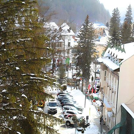 Central Park View Sinaia Dış mekan fotoğraf