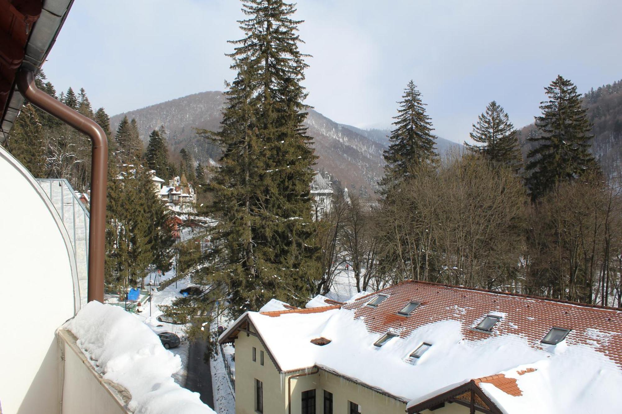 Central Park View Sinaia Dış mekan fotoğraf