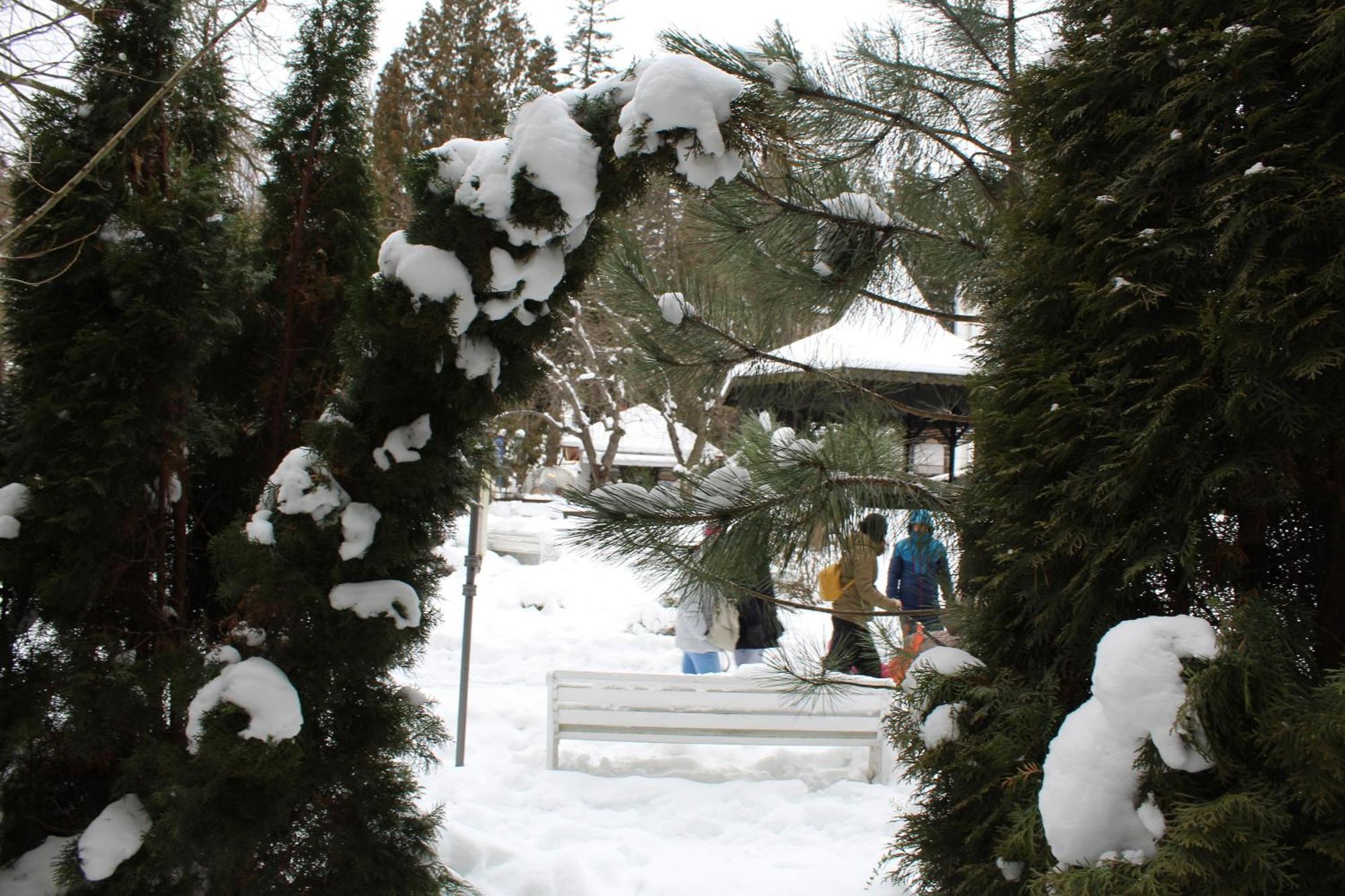 Central Park View Sinaia Dış mekan fotoğraf