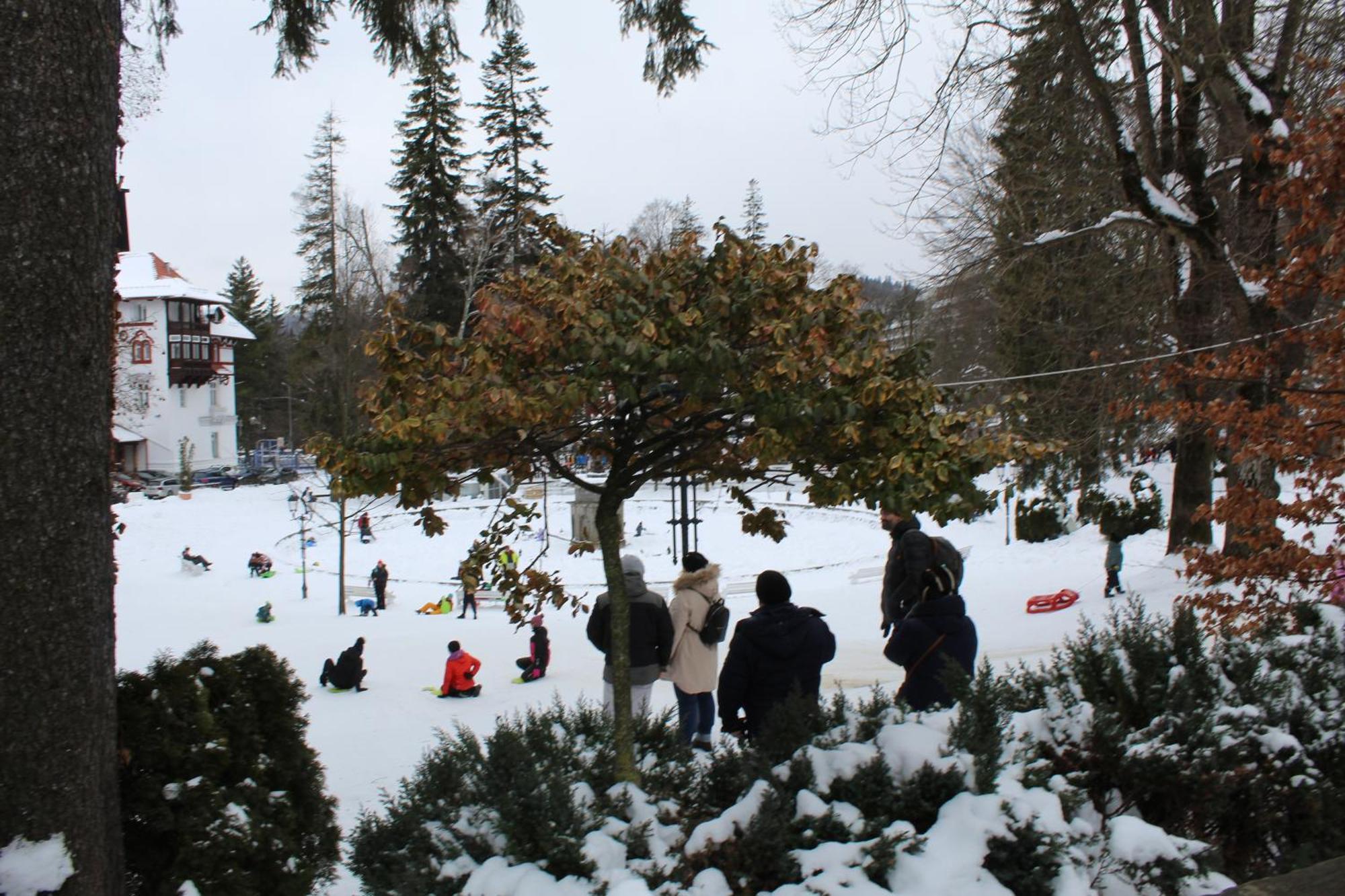 Central Park View Sinaia Dış mekan fotoğraf