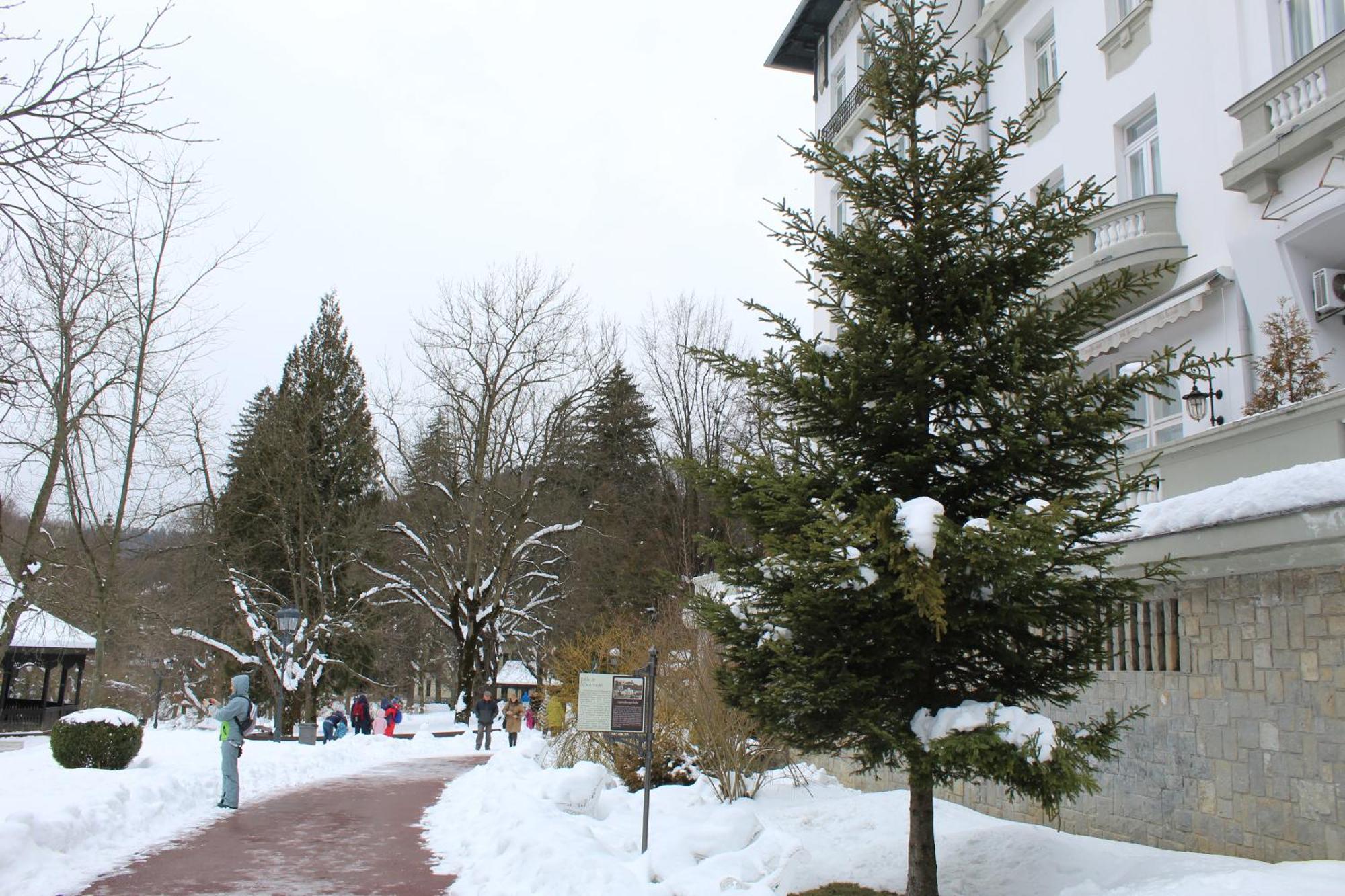Central Park View Sinaia Dış mekan fotoğraf