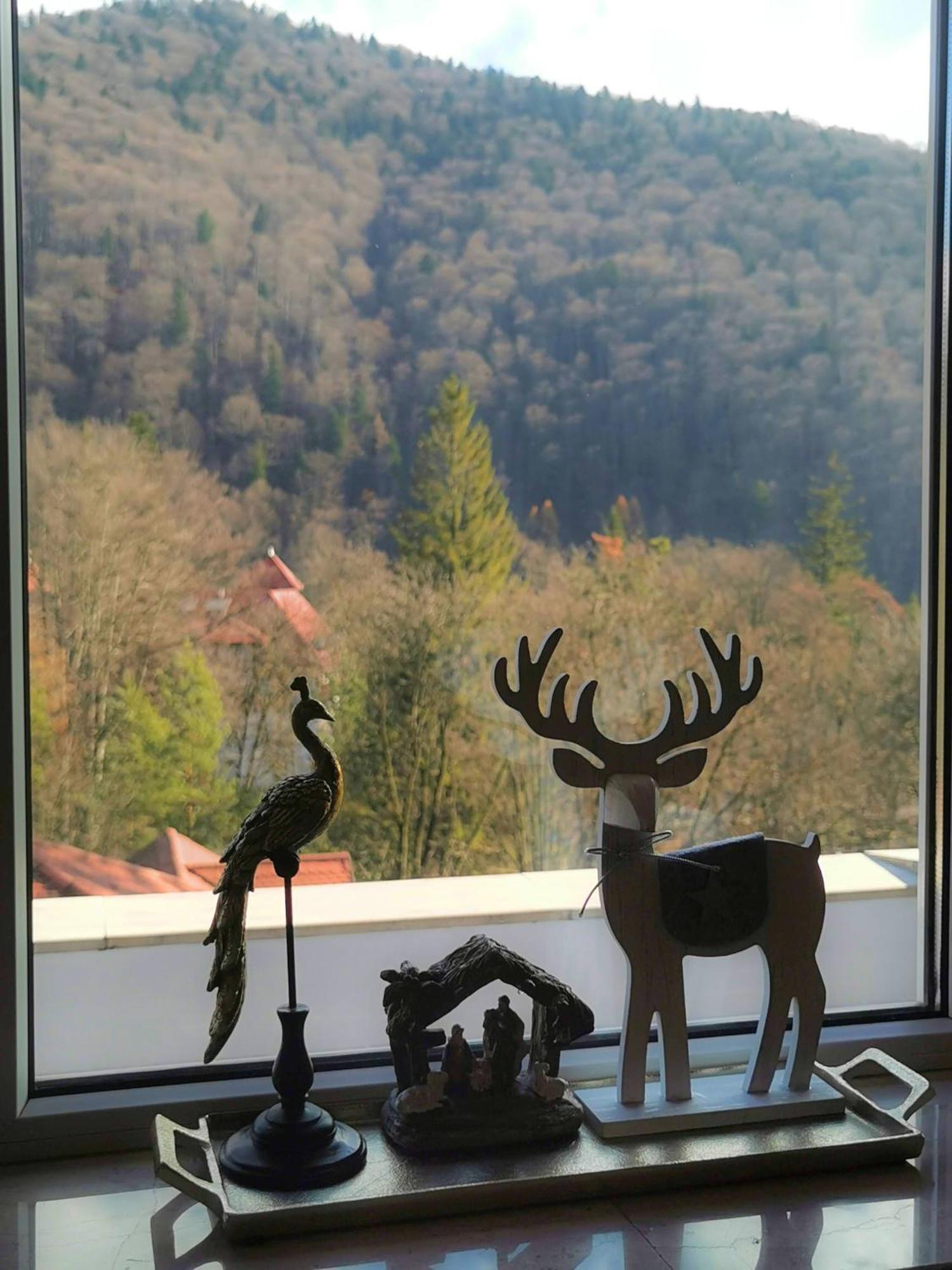 Central Park View Sinaia Dış mekan fotoğraf