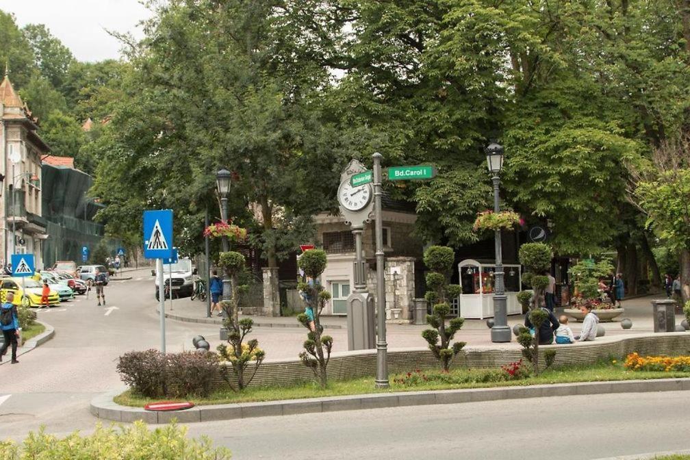 Central Park View Sinaia Dış mekan fotoğraf